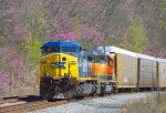 CSX 495 and HLCX 8145